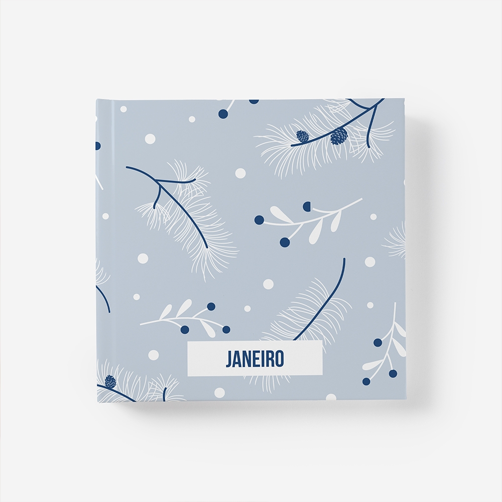Álbum de Janeiro